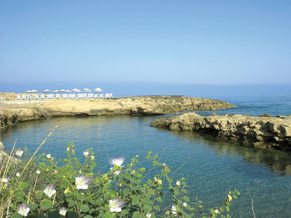 Cynthiana Beach Hotel, Кипр, Пафос