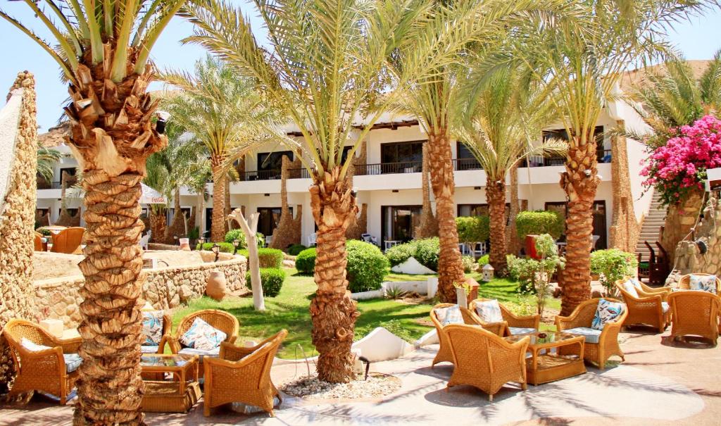 Turquoise Beach Hotel, Египет