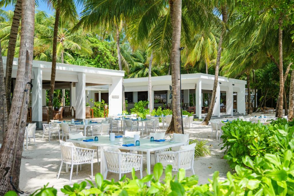 Hot tours in Hotel Amilla Maldives Resort & Residences (Ex. Amilla Fushi) Baa Atoll