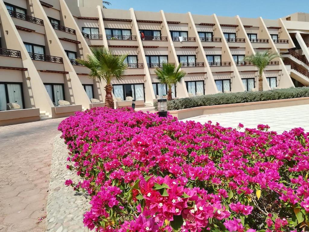 Pharaoh Azur Resort (ex. Sonesta Pharaoh Beach Resort), Hurghada ceny