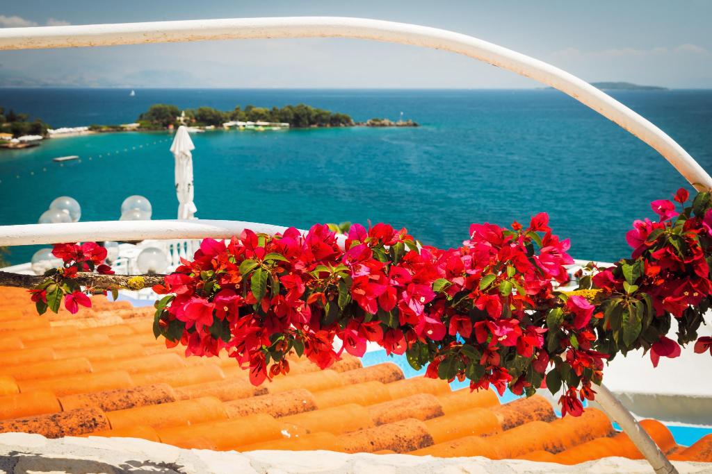 Wilde Rose Hotel, Korfu (wyspa), Grecja, zdjęcia z wakacje