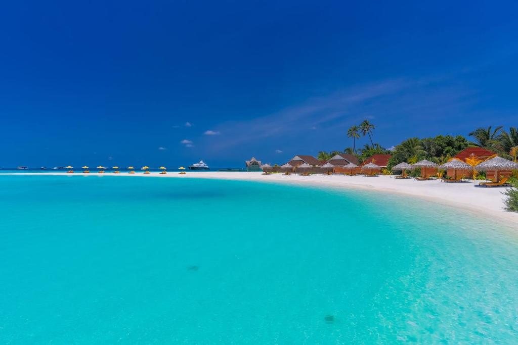 Туры в отель Dhigufaru Island Resort Баа Атолл Мальдивы