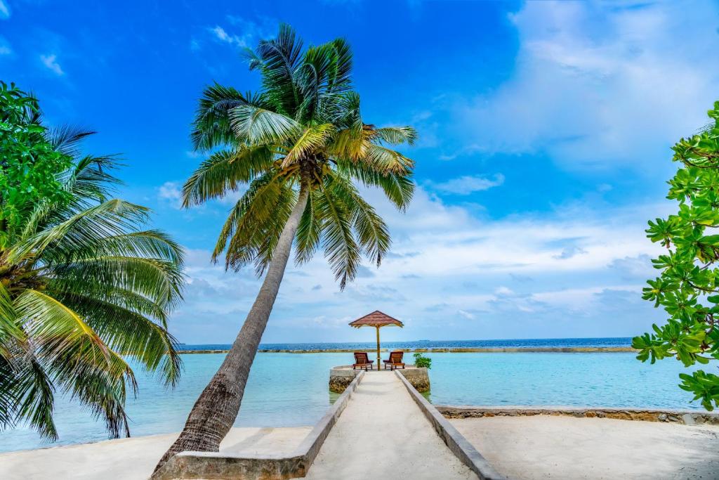 Отель, Ellaidhoo Maldives by Cinnamon