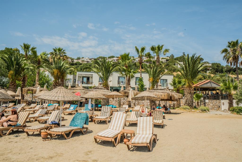 Costa 3s Beach Hotel, Бодрум, Турция, фотографии туров