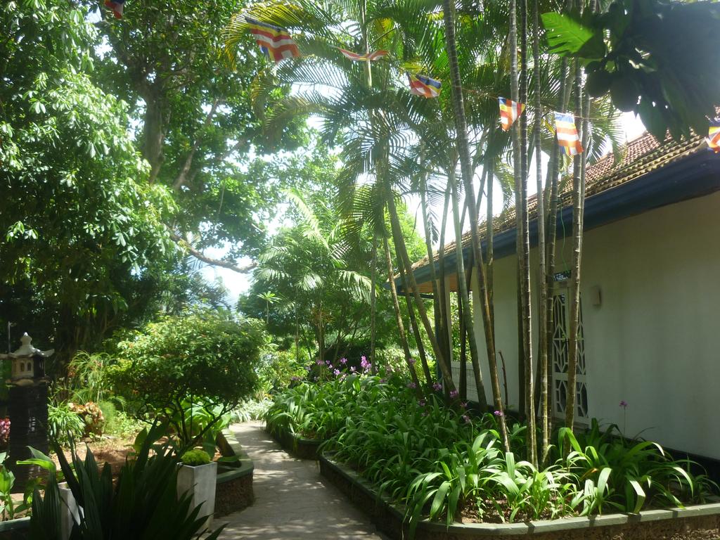 Zdjęcie hotelu Laluna Ayurveda Resort