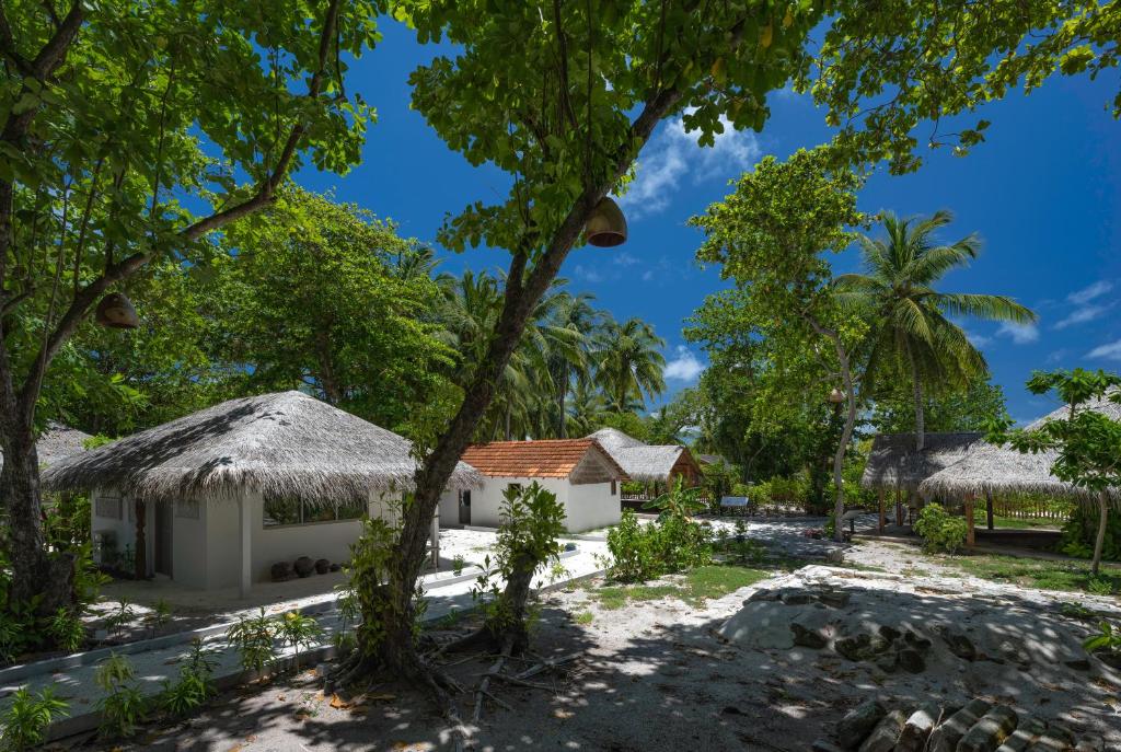 Отель, Cora Cora Maldives