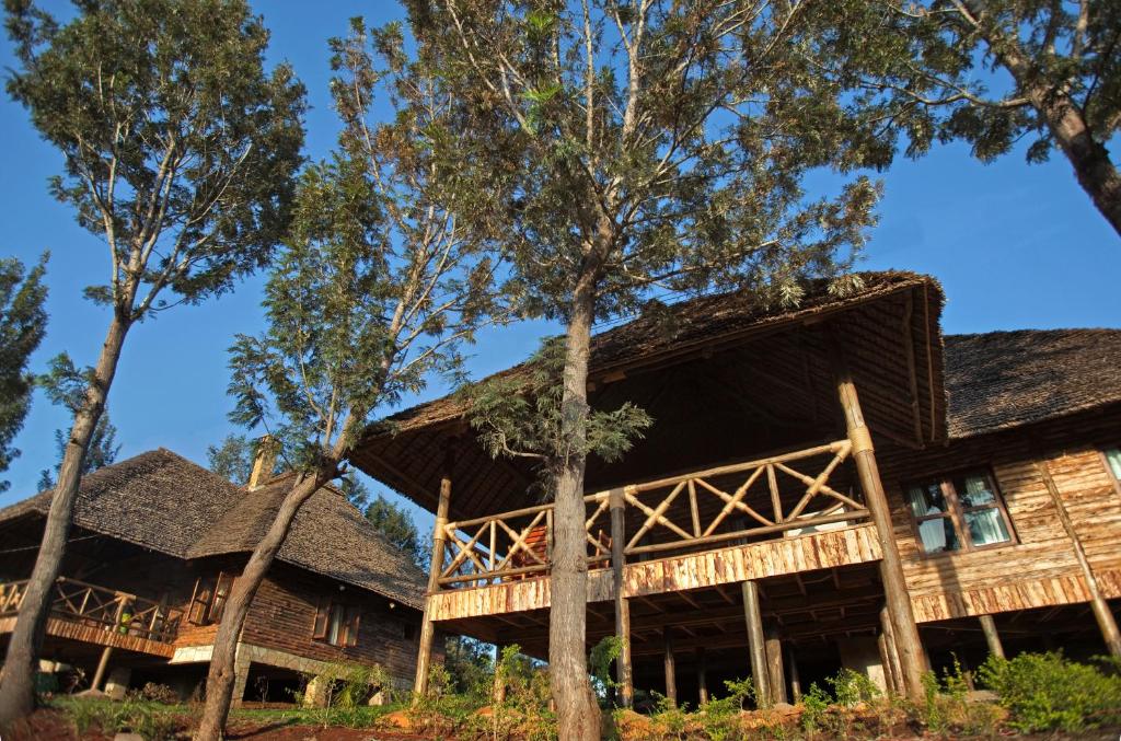 Neptune Ngorongoro Luxury Lodge, фотографии туристов