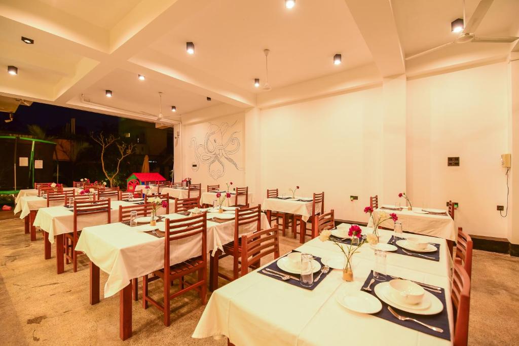 Chaaya Inn Hotel, Шрі-Ланка, Хіккадува, тури, фото та відгуки