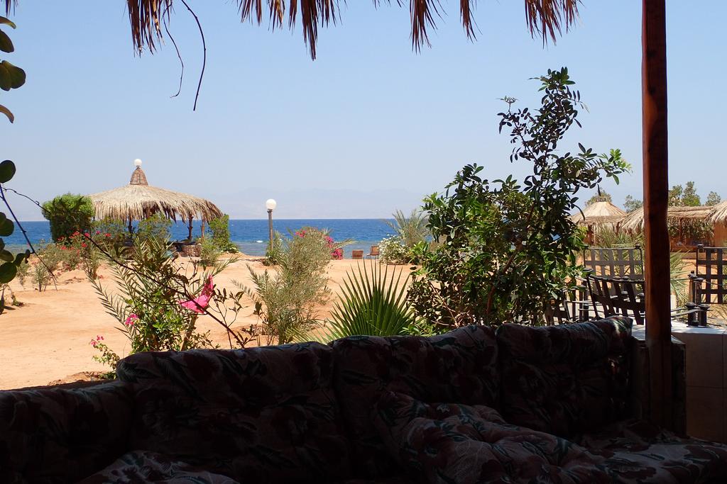 Tours to the hotel Bedouin Star Nuweiba