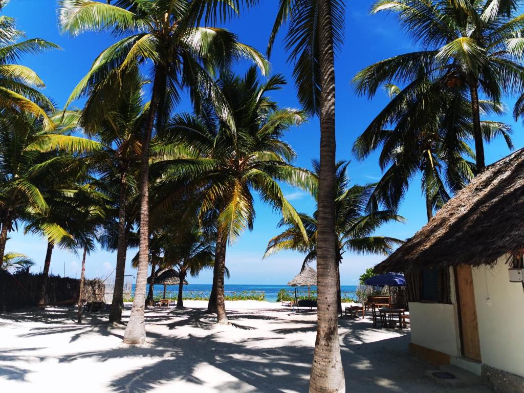 Bwejuu Beach Palm Villa, APP, фотографії