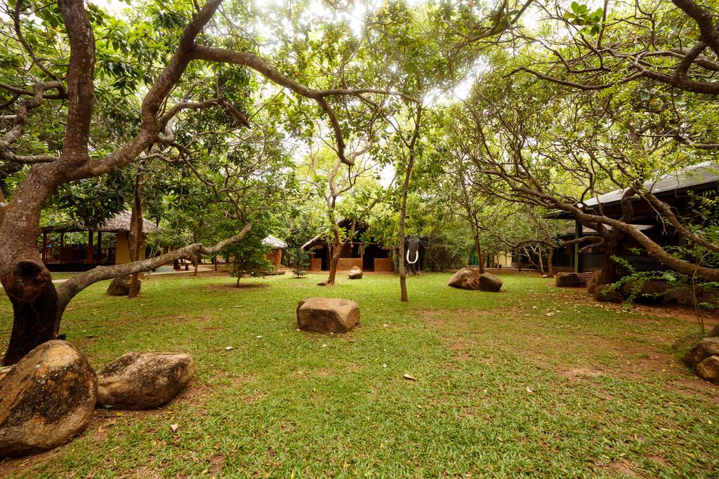 Национальный парк Яла Elephant Reach Hotel цены