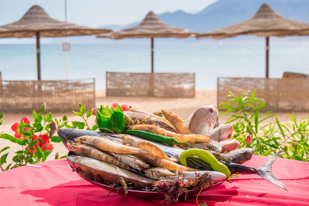 Reviews of tourists, Tirana Dahab Lagoon Resort