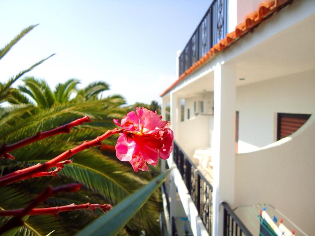 Туры в отель Ccb Bruskos Hotel Корфу (остров) Греция