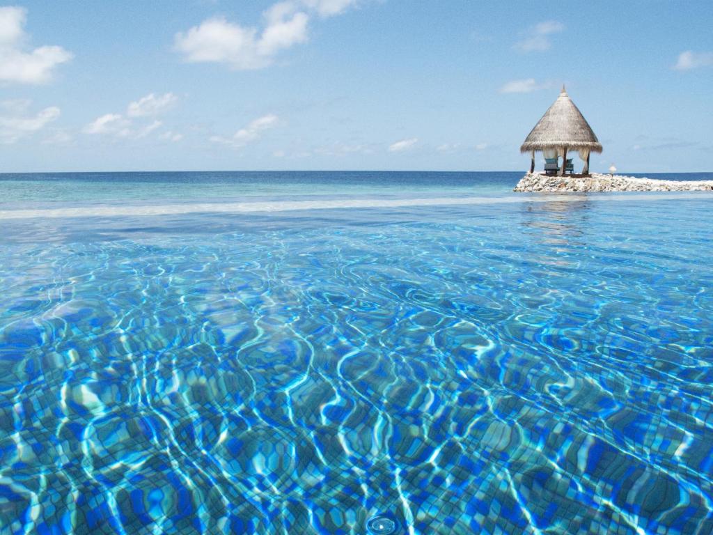 Taj Coral Reef Resort & Spa, Malediwy, Północny Atol Male, wakacje, zdjęcia i recenzje