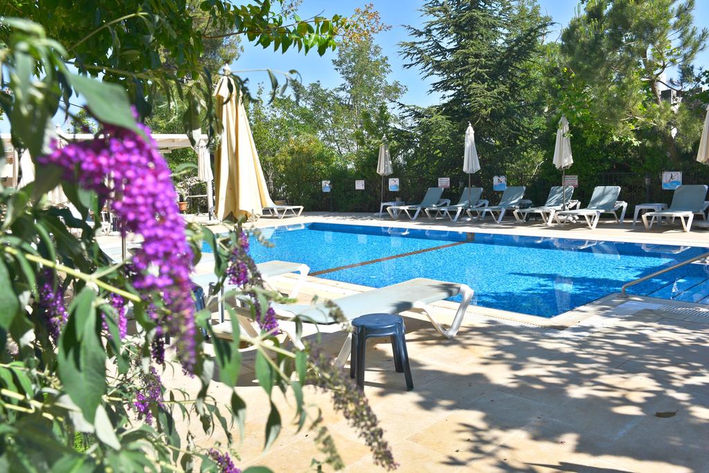 Hotel Villa Galilee фото и отзывы