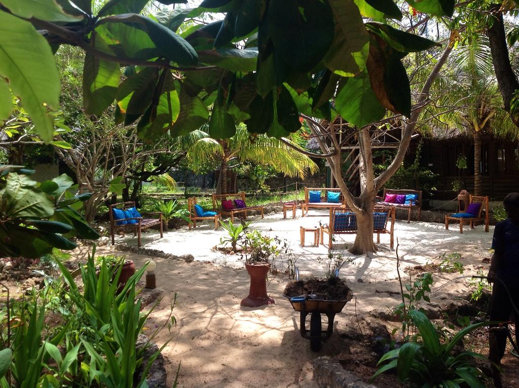 Bahari View Lodge, Танзания, Джамбиани, туры, фото и отзывы
