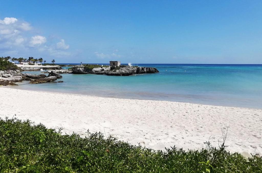 Grand Sirenis Riviera Maya Resort & Spa All Inclusive фото и отзывы