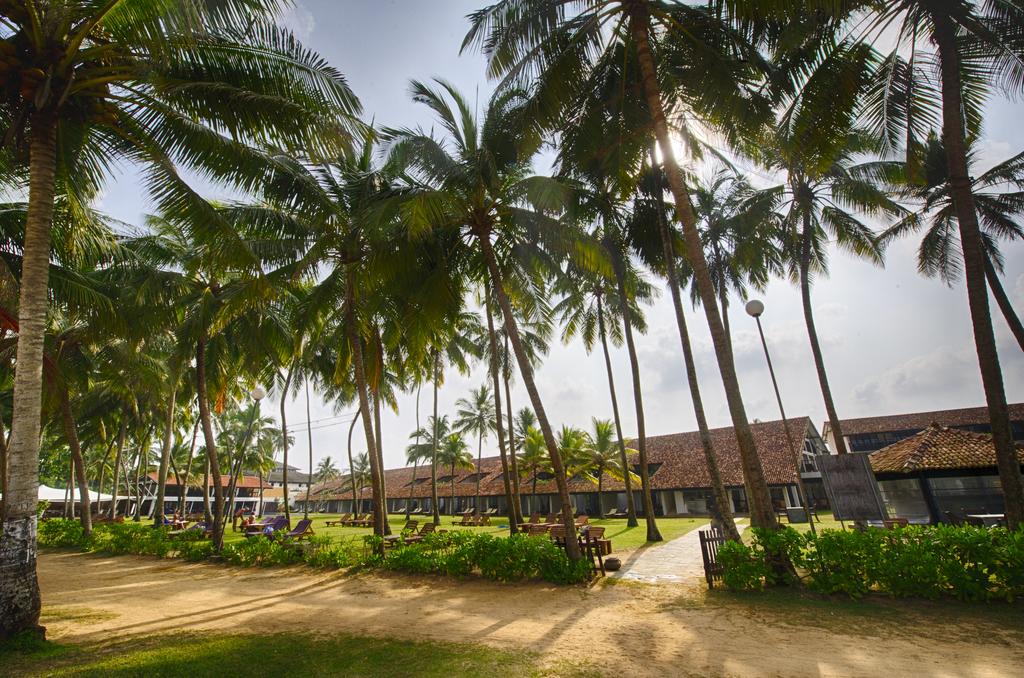 Avani Bentota Resort & Spa Шрі-Ланка ціни
