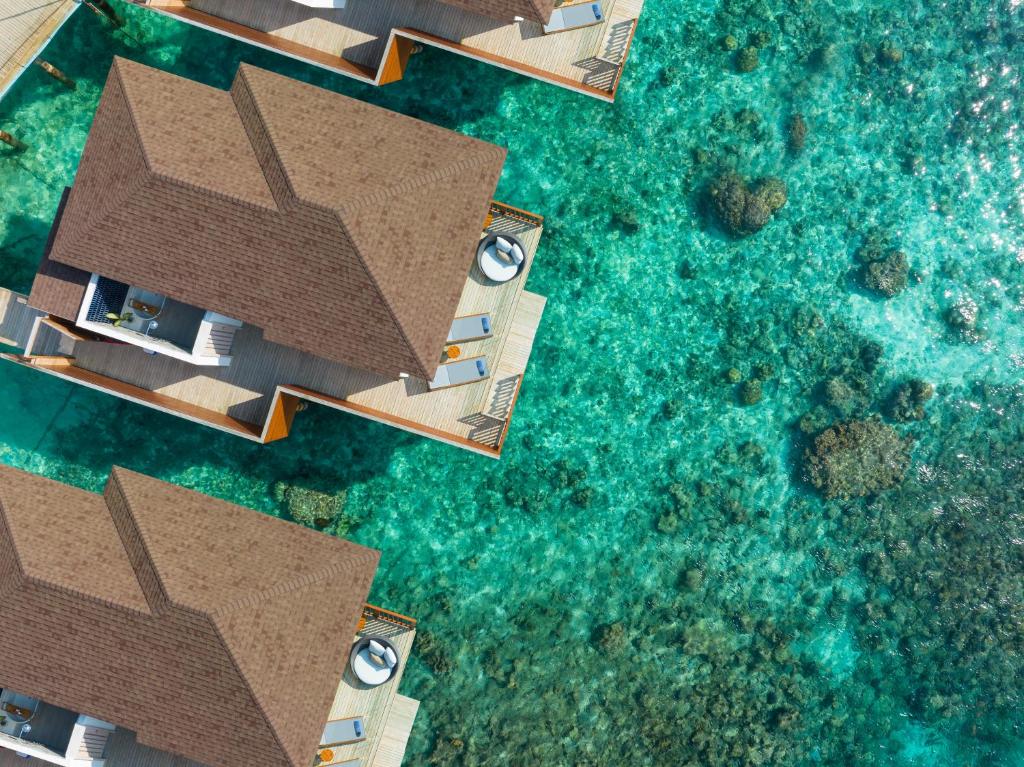 Отзывы про отдых в отеле, Avani+ Fares Maldives Resort