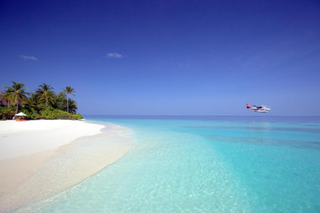 Отель, Мальдивы, Ари & Расду Атоллы, Mirihi Island Resort