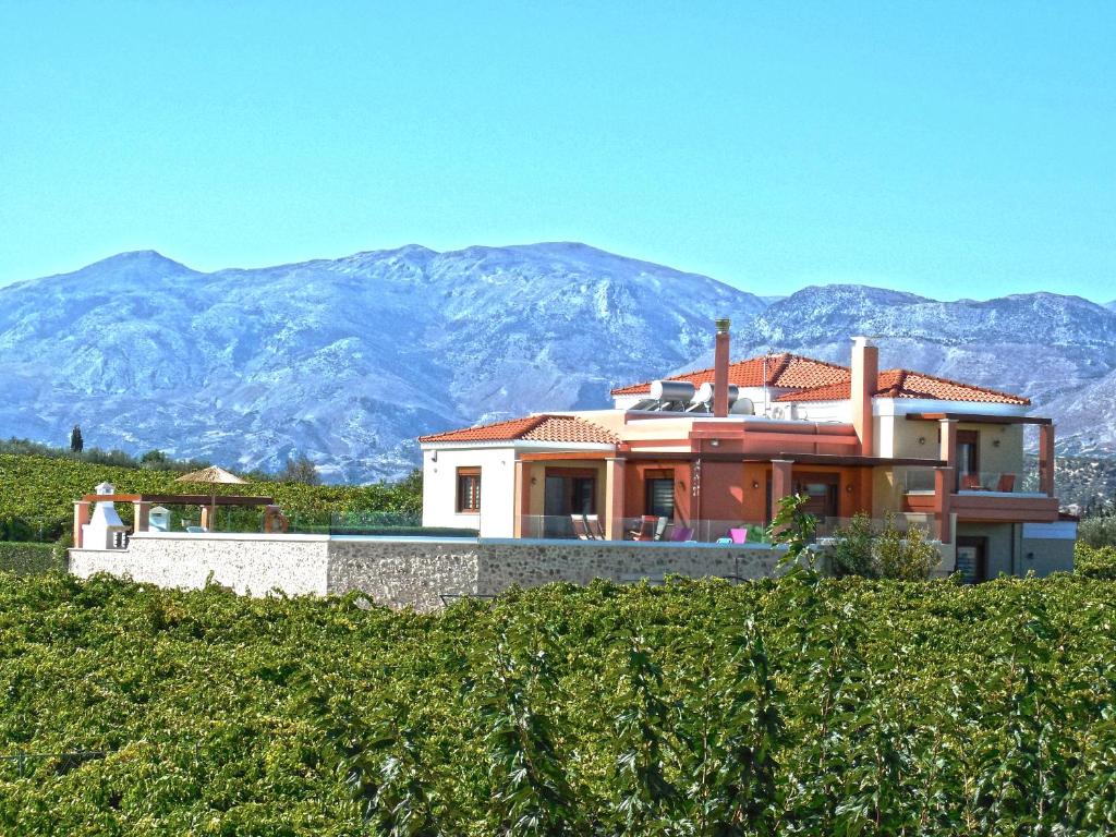 Cretan Vineyard Hill Villa, фото