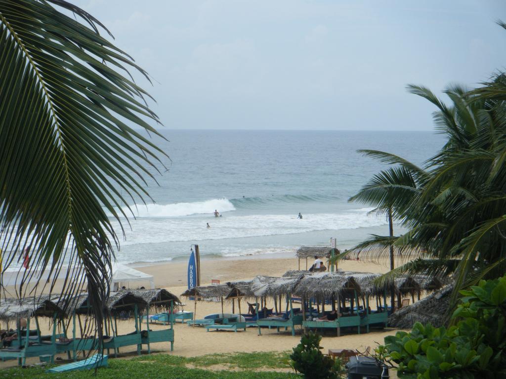 Горящие туры в отель Long Beach Guest House Хиккадува Шри-Ланка