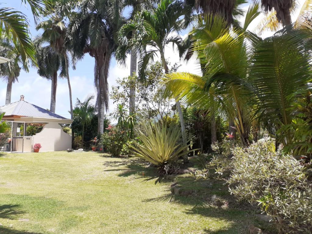 Royal Bay Villa, Сейшелы, Маэ (остров), туры, фото и отзывы