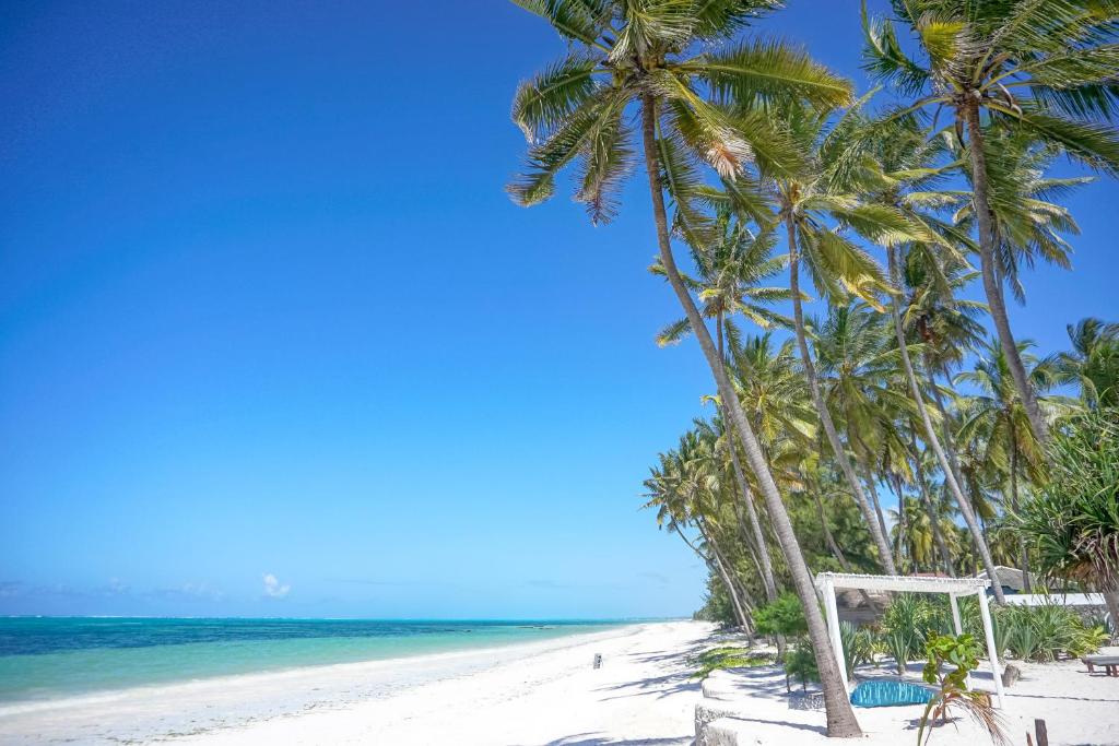 Бведжуу Indigo Beach Zanzibar цены