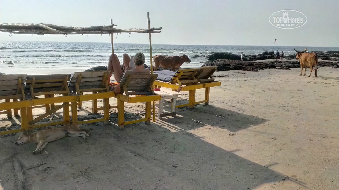 Отзывы туристов La Cabana Beach And Spa