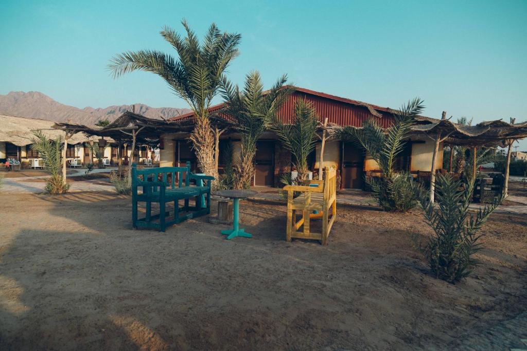 Al Sayadeen Village , Egipt, Taba, wakacje, zdjęcia i recenzje