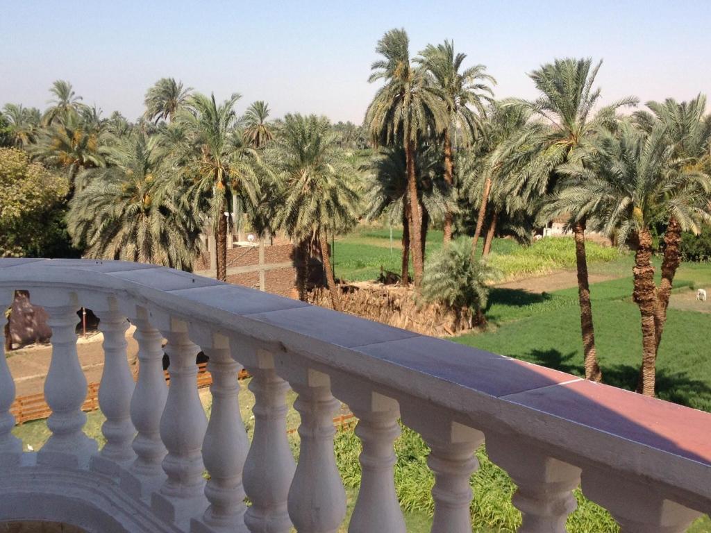 Горящие туры в отель Cleopatra Hotel Luxor Луксор Египет