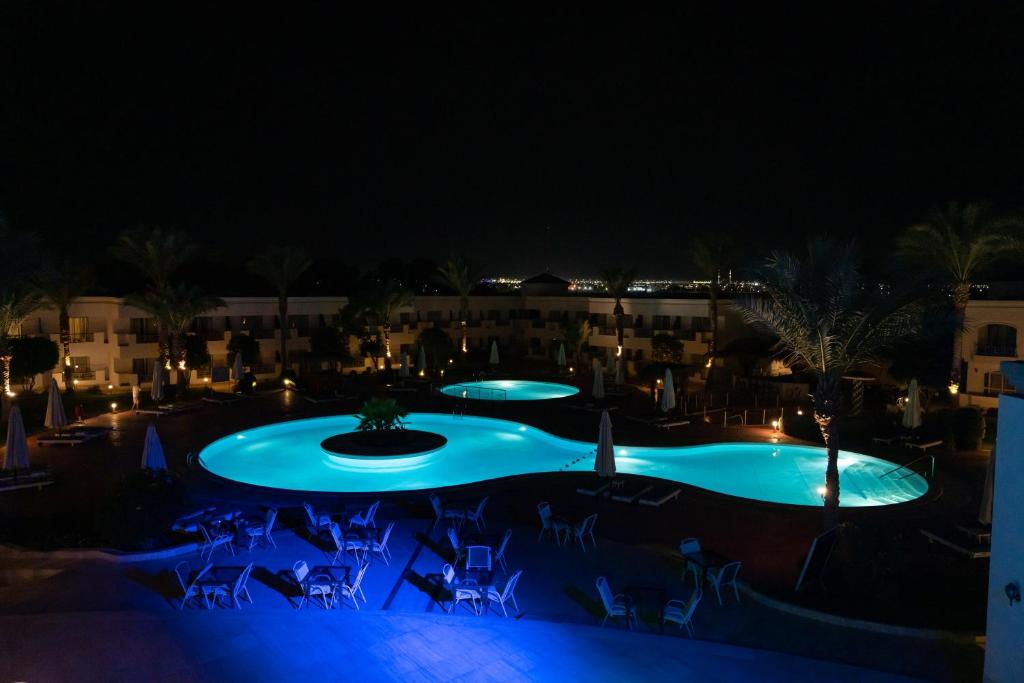Отзывы об отеле Viva Sharm Hotel