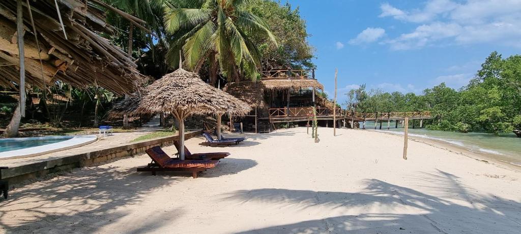 Отзывы про отдых в отеле, Jungle Paradise Beach Resort