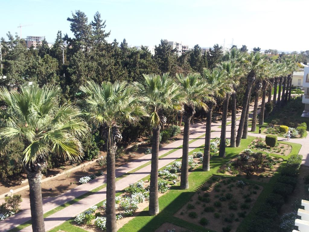 Calimera Delfino Beach Resort & Spa, Тунис, Хаммамет, туры, фото и отзывы