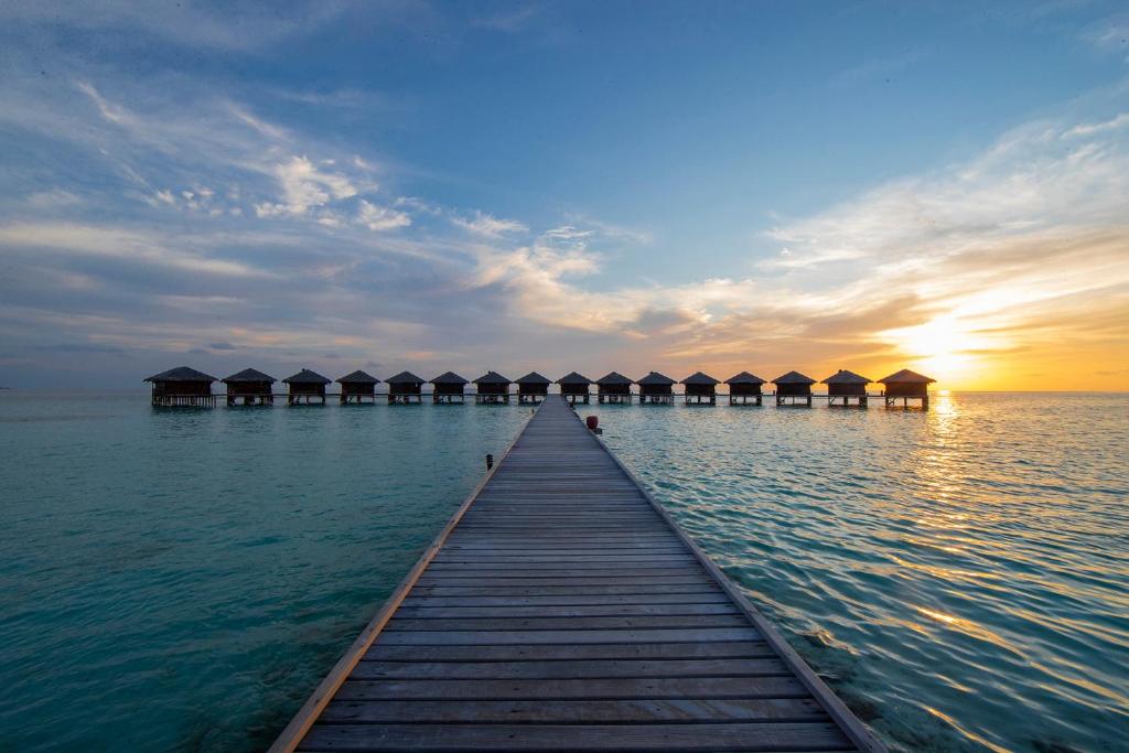 Hotel, Atole Faafu i Dhaalu, Malediwy, Filitheyo Island Resort