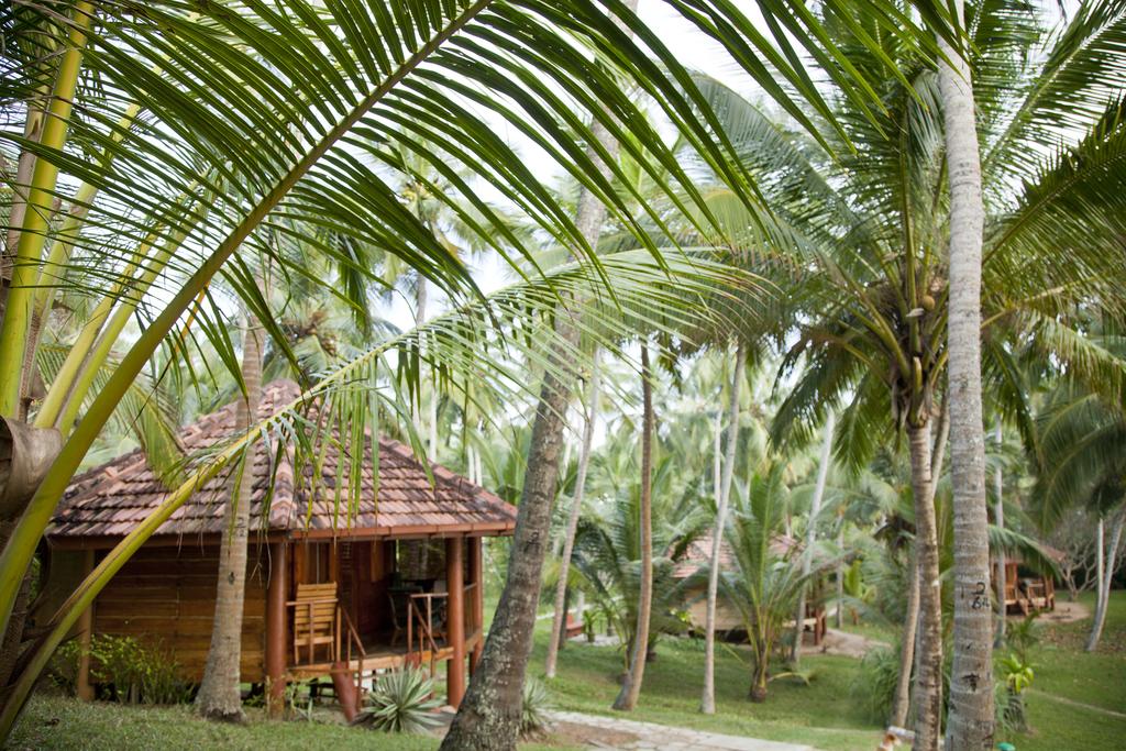 Цены в отеле Palm Paradise Cabanas