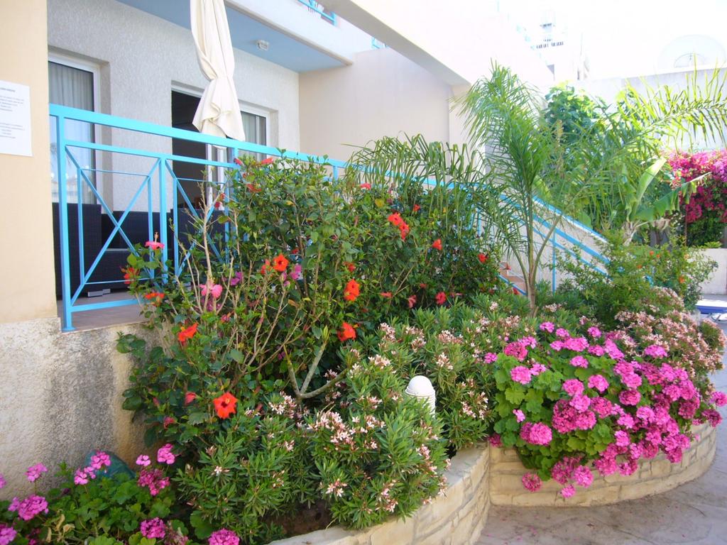 Blue Oasis Gardens, Кіпр, Лімассол, тури, фото та відгуки