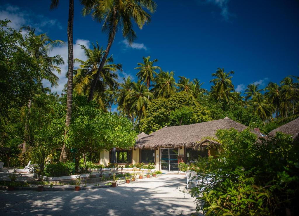 Отдых в отеле Biyadhoo Island Resort Южный Мале Атолл Мальдивы