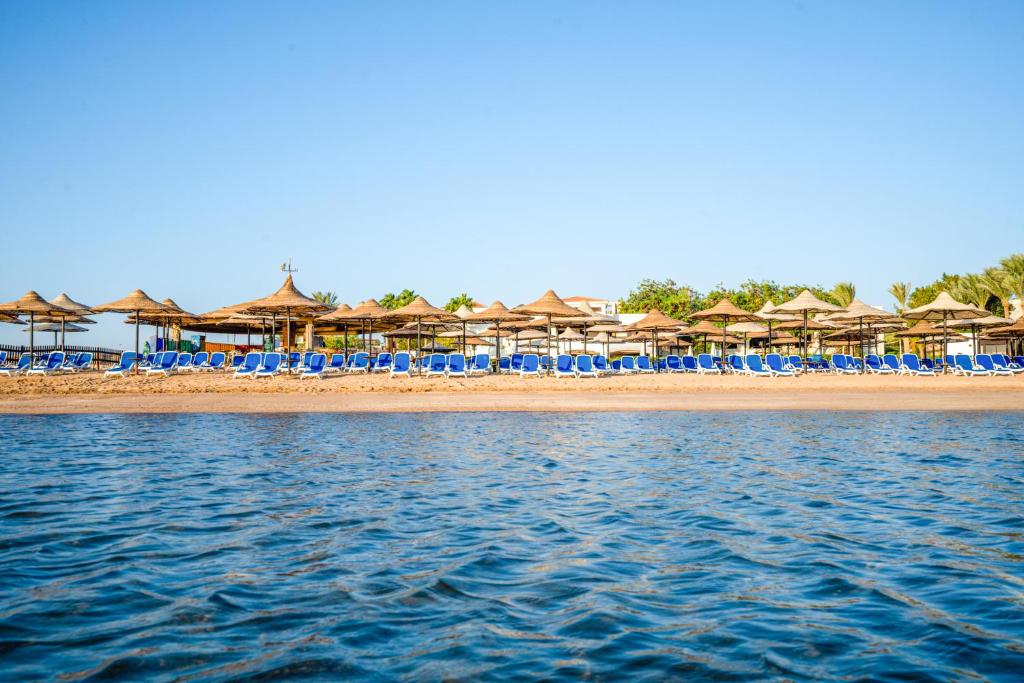 Prices, Ivy Cyrene Sharm Hotel (Adults Only 13+)
