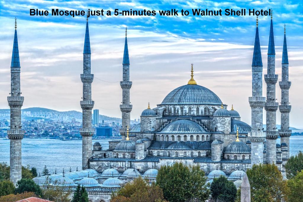 Отдых в отеле Walnut Shell Hotel Стамбул Турция
