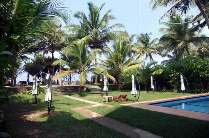 Tours to the hotel Garden Beach Kosgoda Sri Lanka