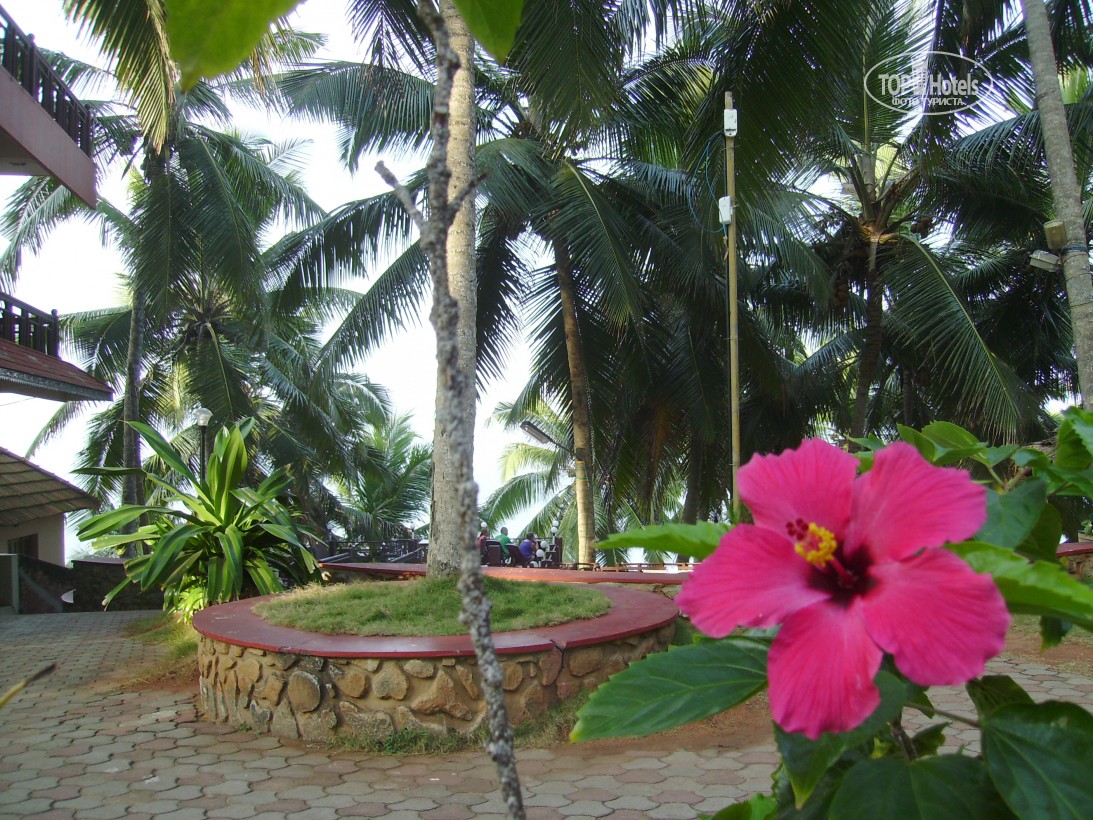 Туры в отель Ayurbay Beach Resort Ковалам