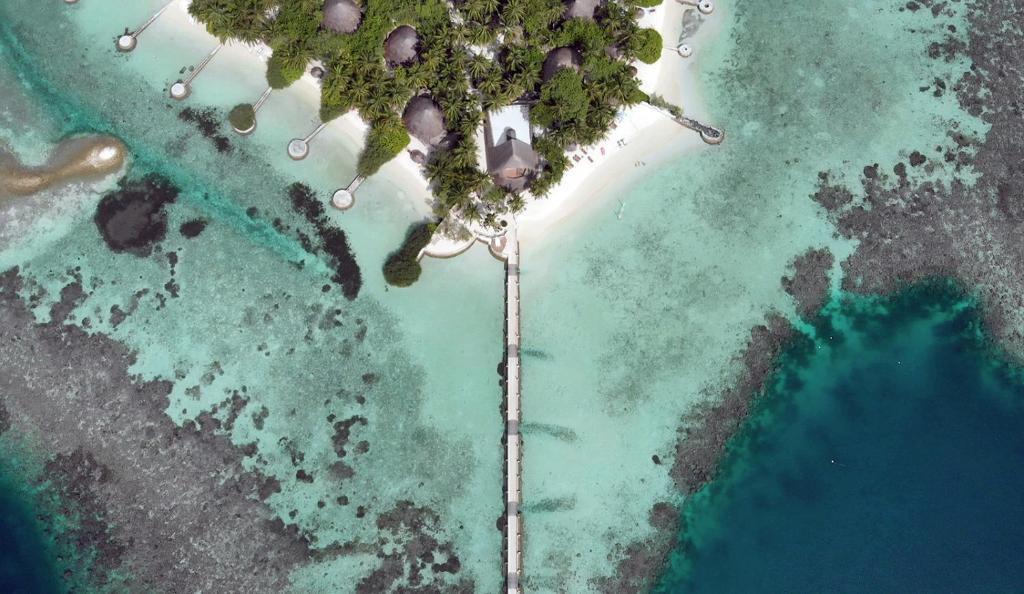 Nika Island Resort, Мальдивы, Ари & Расду Атоллы, туры, фото и отзывы