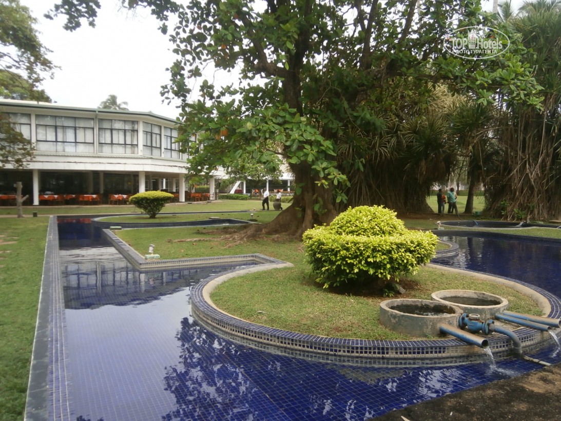 Villa Ocean View Hotel, Ваддува, Sri Lanka, фотографии туров