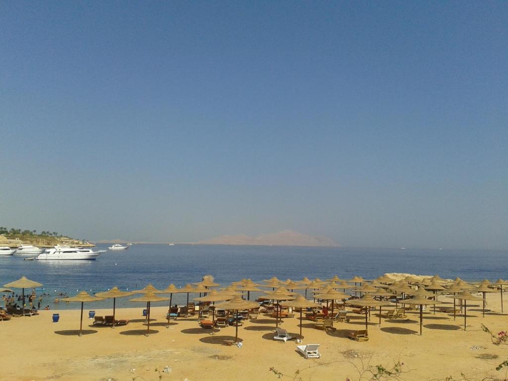 Відпочинок в готелі Mazar Resort & Spa Шарм-ель-Шейх Єгипет