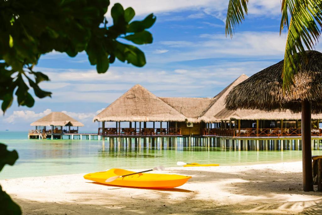 Medhufushi Island Resort Мальдивы цены