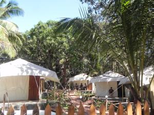 Coco'S Resort Goa Vagator, Вагатор, фотографии туров
