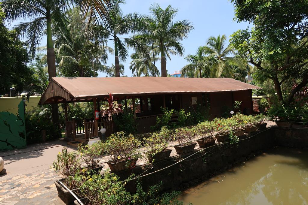 Primo Bom Terra Verde (Eco Friendly Resort), Индия, Калангут, туры, фото и отзывы