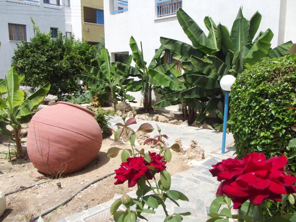 Kefalonitis Hotel Apartments Кіпр ціни