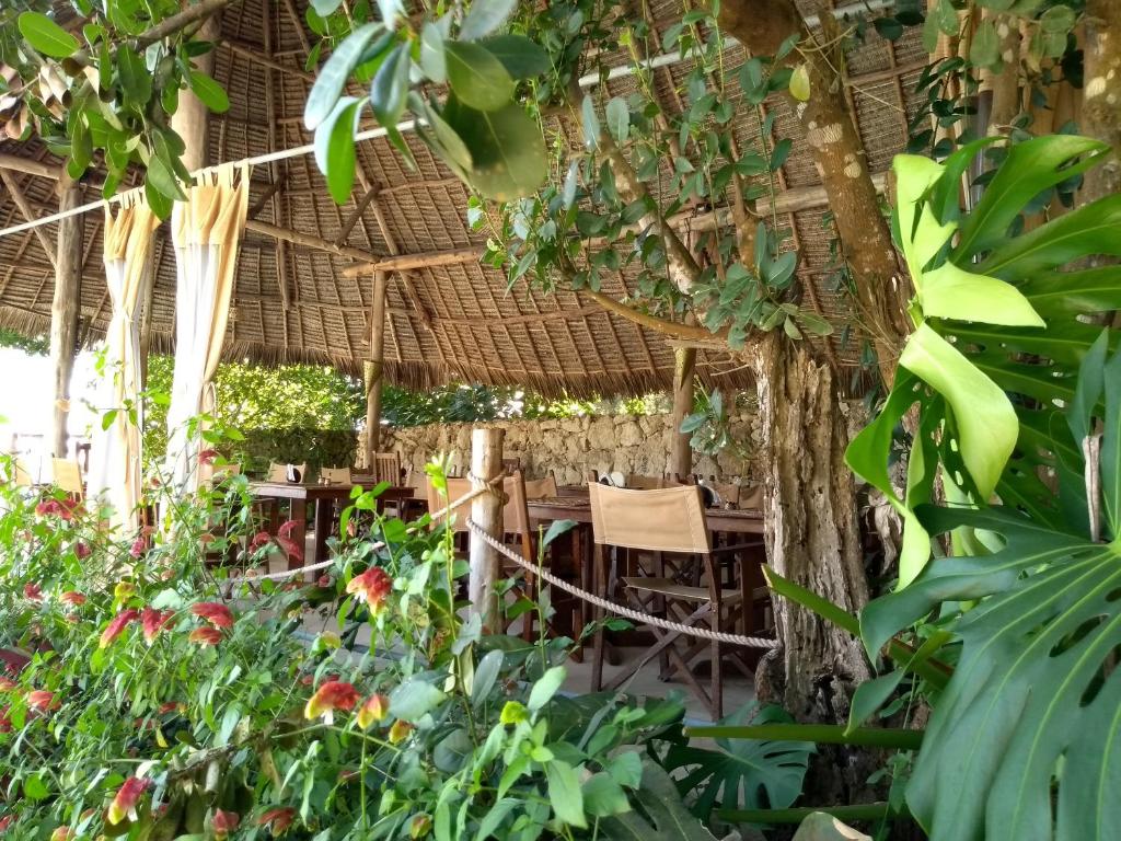 Відпочинок в готелі Marafiki Bungalows Zanzibar Ківенгва